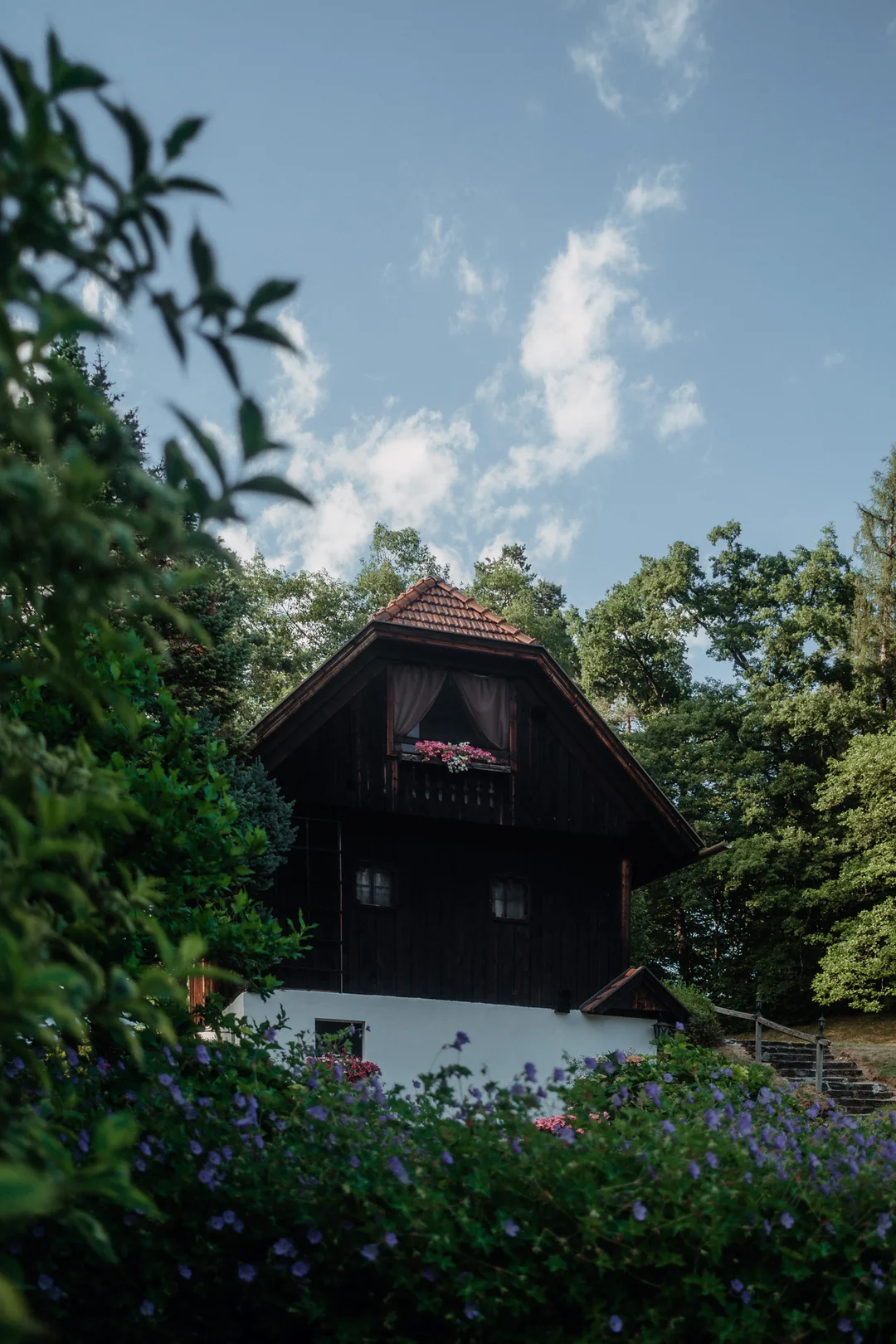 Die Villa Muh zwischen Bäumen auf der Insel