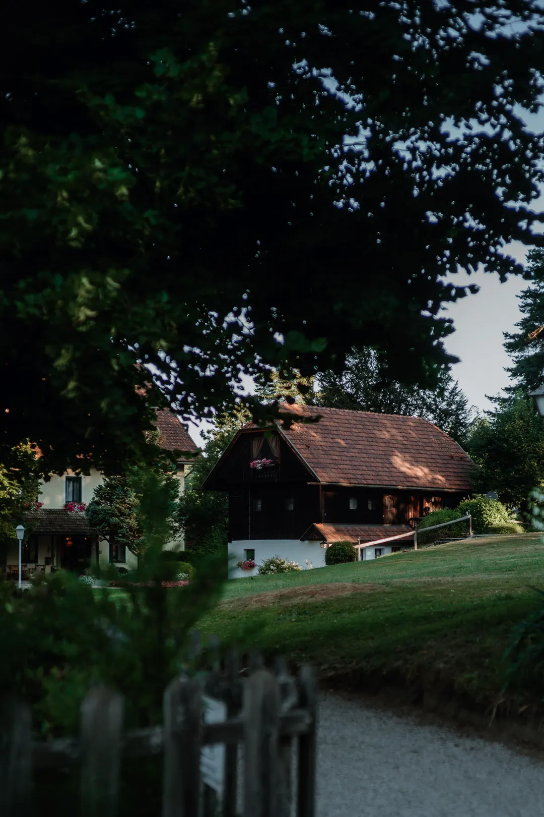 Die Villa Muh als Holzhaus zwischen den Bäumen der Insel