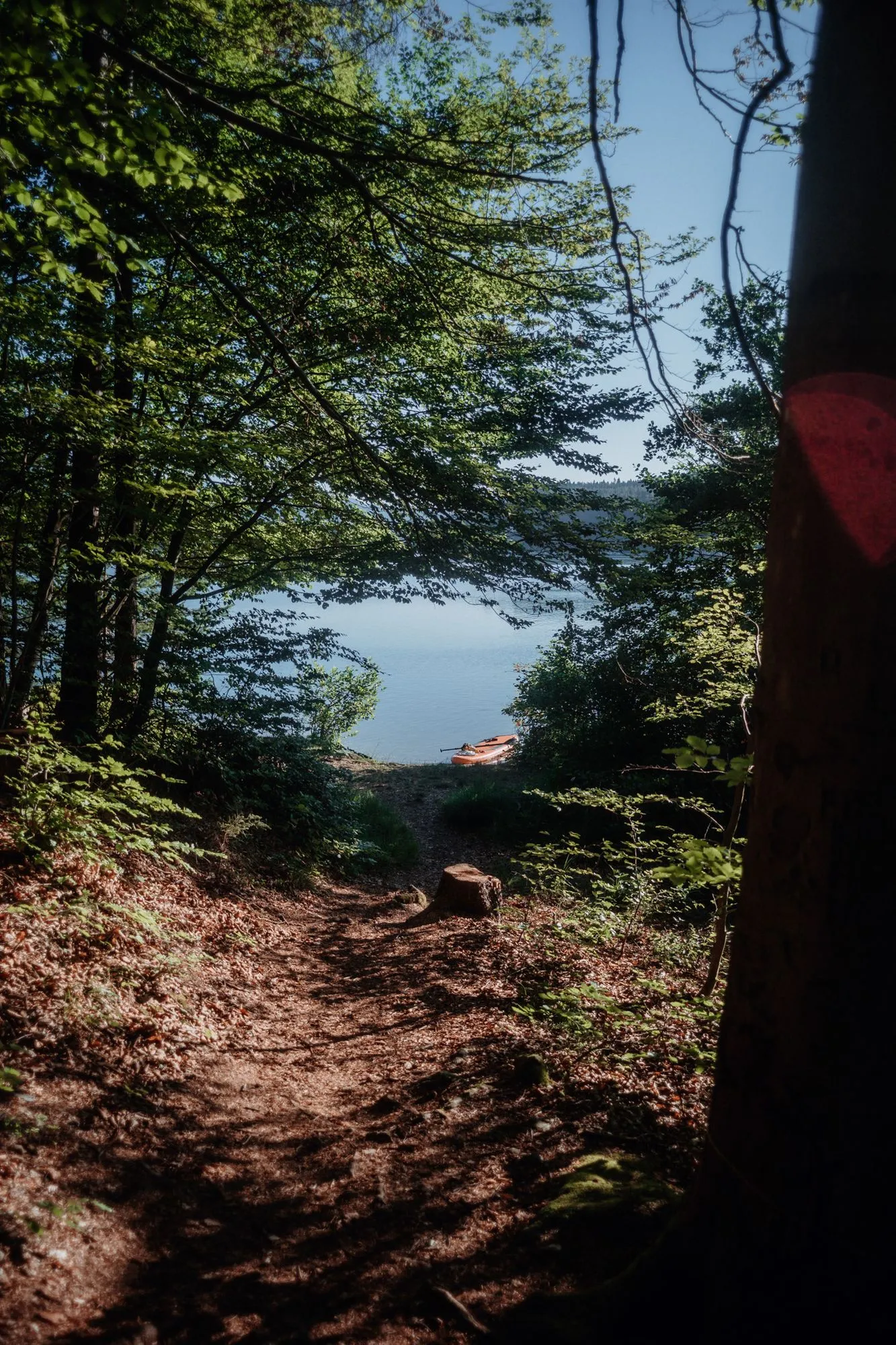 Der Weg um die Insel, zwischen Bäumen und Wasser.