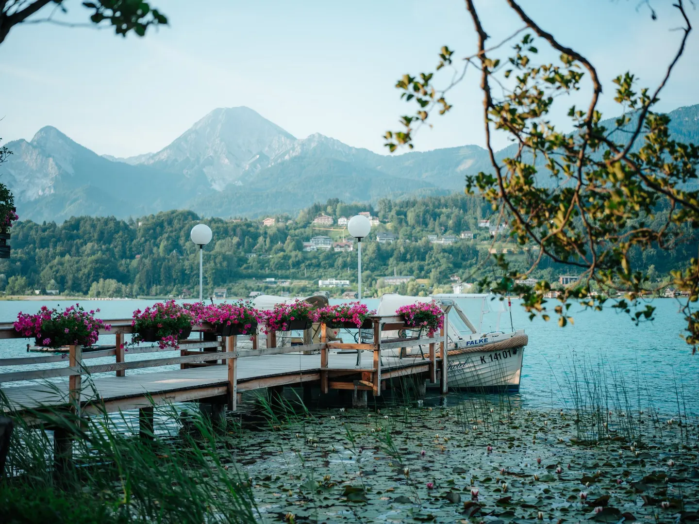 Hotelboot am Inselsteg zwischen Seerosen und See